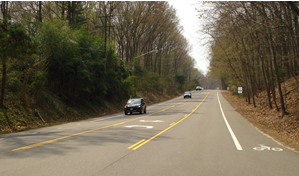 Photo of the Road Diet installed on Lawyers Road in Reston, VA featuring two through lanes, a center two-way left-turn lane, and dedicated bike lanes.
