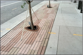 Figure 4: Porous pavers in downtown Denver allow storm water infiltration into tree planting areas.