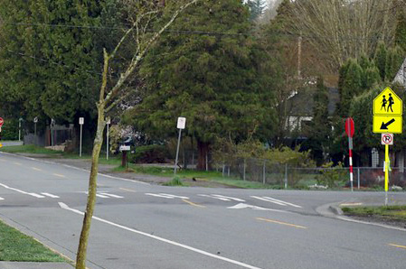 Photo shows a crosswalk on a raised section of asphalt.