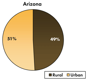Pie chart - 51 percent of traffic-related fatalities occur on Arizona's urban roadways, 49 percent occur on the rural roads.