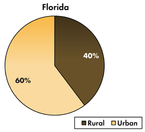 Pie chart - 60 percent of traffic-related fatalities occur on Florida's urban roadways, 40 percent occur on the rural roads.