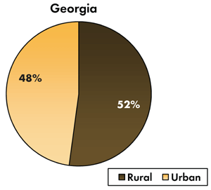 Pie chart - 48 percent of traffic-related fatalities occur on Georgia's urban roadways, 52 percent occur on the rural roads.