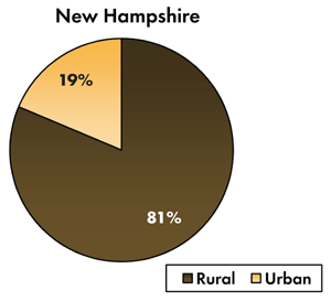 Pie chart - 19 percent of traffic-related fatalities occur on New Hampshire's urban roadways, 81 percent occur on the rural roads.