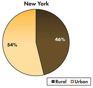 Pie chart - 54 percent of traffic-related fatalities occur on New York's urban roadways, 46 percent occur on the rural roads.