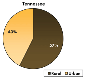 Pie chart - 43 percent of traffic-related fatalities occur on Tennessee's urban roadways, 57 percent occur on the rural roads.