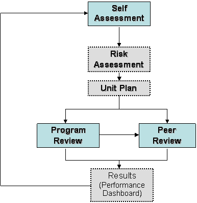 Flow chart showing the Self-Assessment process.