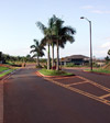 Photo.  A photo showing a gateway treatment of an island with landscaping, including palm trees.