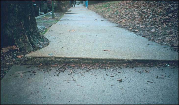 Figure 15. Photo. A portion of unlevel sidewalk is shown. It appears that the roots of an adjacent tree have caused part of the sidewalk to lift.