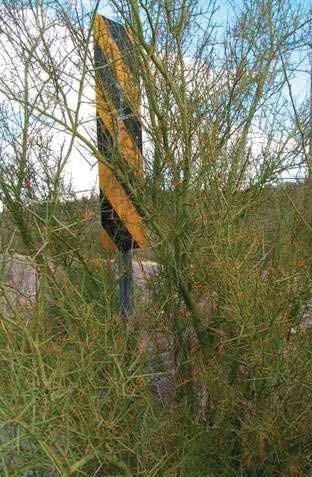 Figure 4. Photo. An object marker is shown obstructed by vegetation.
