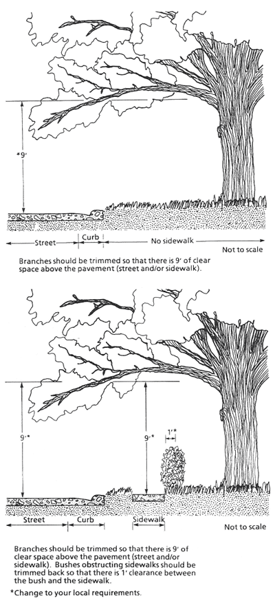 Figure 22 Over hanging tree limbs and branches showing hieghts and distances of required trimming