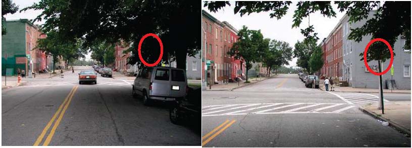 Figure 2a. Photo, left. This photo shows a car traveling on an urban street with a low overhanging tree. The tree prohibits viewing of the stop sign from a significant distance from the intersection. Figure 2b. Photo, right. This image is of the same intersection shown in Figure 2a, but at a closer distance. The stop sign is still obstructed by the tree.
