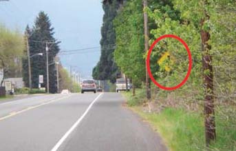 Figure 3 photo: The warning sign (circled) is only partially visible in the spring. By mid-summer, it will be completely hidden by vegetation.