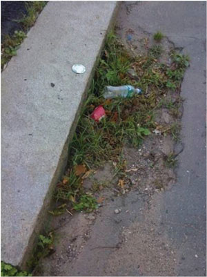 Photo. This photo shows a drain opening that is clogged with silt, vegetation, and trash.