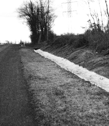Photo. This photo shows a drainage ditch lined with a fiber mat.