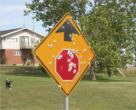 Photo. A stop ahead sign with multiple gunshot holes is shown.