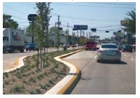 Photo of a landscaped median with a left turn lane.