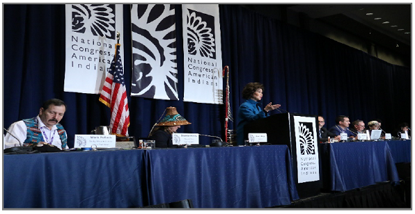 Photo shows U.S. Secretary of Transportation Elaine L. Chao speaking at the National Congress of American Indians.