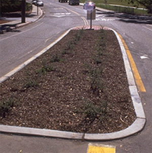 Figure 7 (bottom).  Two pictures showing curb treatments.  The picture on top shows a vertical curb around a median island; the picture on the bottom shows a sloping curb around a median island.