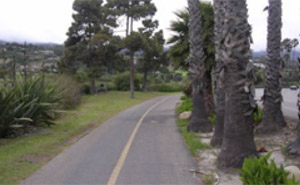 Photo.  A shared use path is on the left and a roadway is on the right.  The path is separated by heavy vegetation, including large palm trees.  The vegetation is close to the path so cyclists may shy away from it, which can create conflicts with path users in both directions. This is especially critical given the narrow width of the facility and limited visibility.
