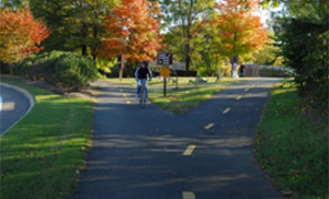 Photo.  A Y-intersection of two shared use paths, both with dashed centerlines.  There is no signing or markings to indicate which approach has the right-of-way. Solid lines should be used where there are potentially conflicting movements, steep gradients, or where visibility is reduced.