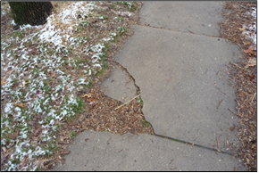 Figure 8: Cracking of sidewalk sections can lead to accessibility issues.