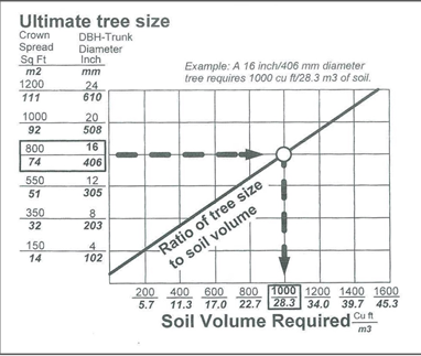 Figure 36: Tree size to soil volume relationship. Urban, Table 2.4.1, page 205, 2008.