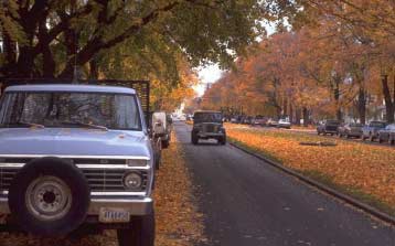 Neo-traditional neighborhoods have narrower, tree-lined streets.