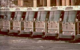 Photo of buses