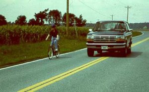 Education programs should target adult bicyclists and motorists. 
