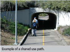 A walkway enters into a tunnel with two pedestrians and a dog walking on the left side.