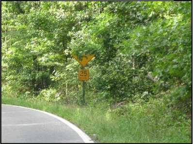 Photograph showing a curve warning sign is installed on the outside of a curve. Most of the sign is obstructed by foliage.