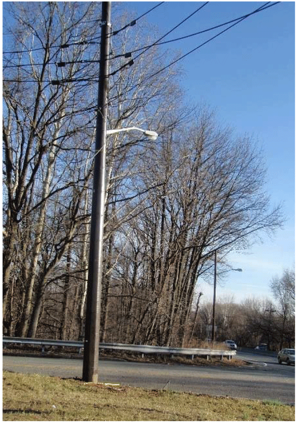 Photograph of the energy absorbing utility pole from a distance. The pole is used for street lights.