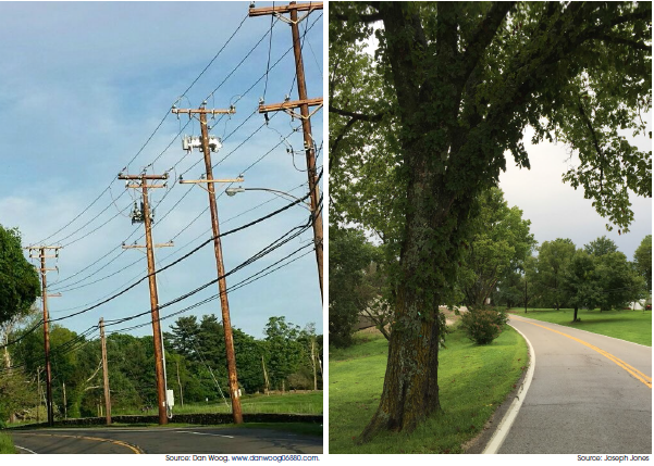 Photos: Utility poles and trees in close proximity to the roadway - Source: Dan Woog, www.danwoog06880.com. Source: Joseph Jones