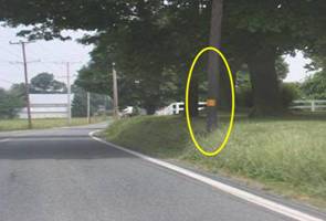 Photo.  Photo shows a tree on the roadside with a piece of reflective tape wrapped around the trunk to improve visibility.