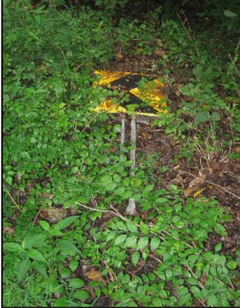 Photograph of a chevron sign laying on the ground covered by foliage.
