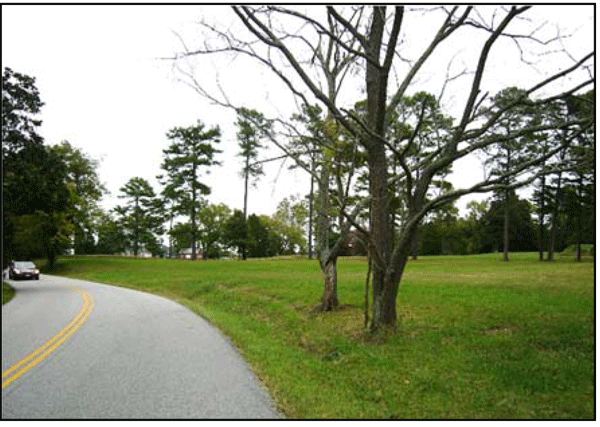 Photograph showing two trees located on the outside of a horizontal curve, which is within the clear zone of the curve.