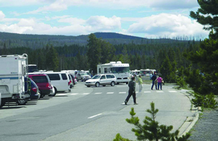 The photo shows the main parking area near Old Faithful geyser: a paved aisle with pull-in angle parking (fully occupied in the photograph) and a zebra crosswalk across the aisle.  Pedestrians are seen in the crosswalk and crossing outside of it.