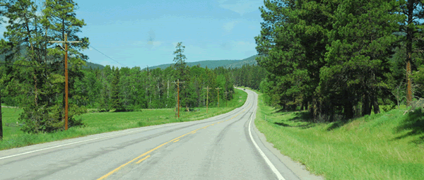 Figure 5: A photo showing a winding road with a steep hill in the distance with trees along both sides of the road.