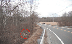 Photo of Snake Hill Road. In the distance there is a car driving away from the viewer with powerlines in the background.  On the left hand side are some trees and a guardrail. One of the trees appears damaged and is circled with a red line.