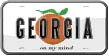 Georgia License Plate