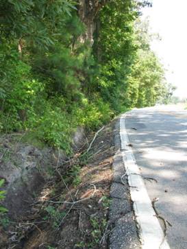 Page 46 photo. This photo shows a shoulder which is not paved and has a ditch and fixed objects immediately adjacent to the roadway.