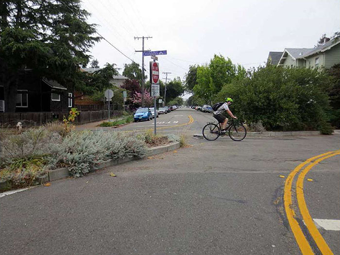 Figure 3.21.2. Diagonal Diverter in a Residential Area. This figure contains a photograph of a diagonal diverter taken from a leg which curves to the right. A cyclist is travelling through the channel cut between the diverters. The diverters contain overgrown landscaping. The diverter to the left contains a signpost holding a "Do Not Enter" sign and street signs. Cars are parked in the leg opposite the one the picture was taken from.