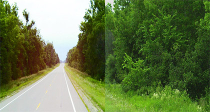 Photograph - Photograph displaying a rural road with a useable paved shoulder but no clear zone, considering a steep slope and trees near the shoulder.