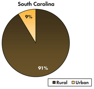 Pie chart - 9 percent of traffic-related fatalities occur on South Carolina's urban roadways, 91 percent occur on the rural roads.