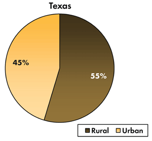 Pie chart - 45 percent of traffic-related fatalities occur on Texas's urban roadways, 55 percent occur on the rural roads.