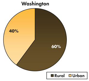 Pie chart - 35 percent of traffic-related fatalities occur on Washington's urban roadways, 65 percent occur on the rural roads.