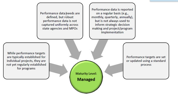 Figure 8: Performance Management Maturity Assignment