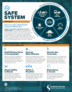 Screenshot of Safe System factsheet.